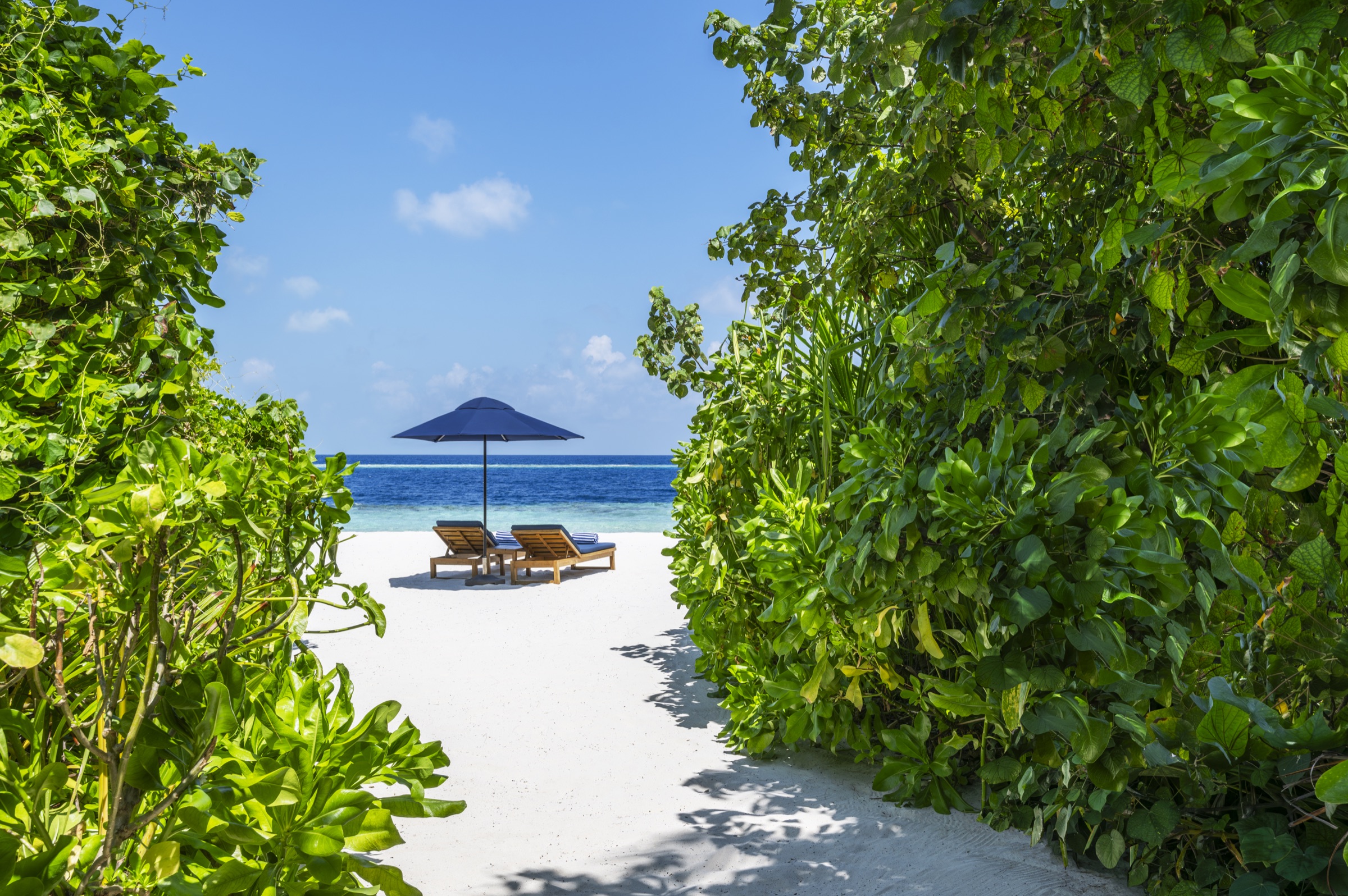 Beach Pool Villa at The Halcyon Private Isles Maldives, Autograph Collection, view 3